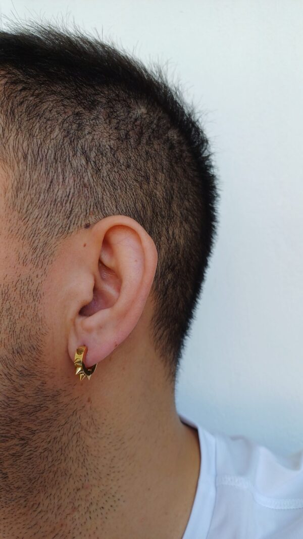 گوشواره حلقه ای